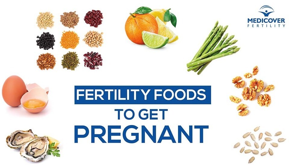 Fertility Foods To Get Pregnant